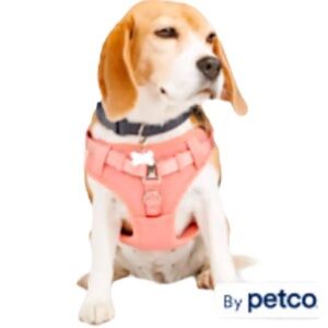 NWT YOULY padded dog harness M